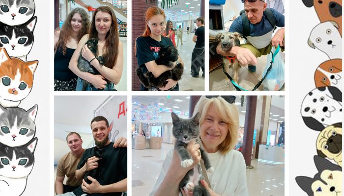 Спешим поделиться итогами выставки в Мегацентре 